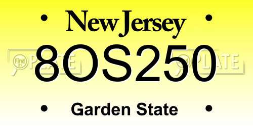 8OS250 New Jersey License Plate