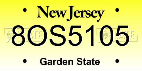 8OS5105 New Jersey License Plate