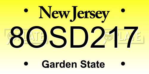 8OSD217 New Jersey License Plate