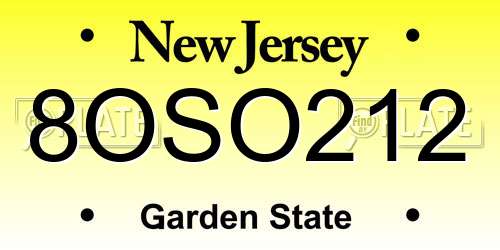 8OSO212 New Jersey License Plate