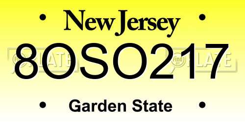 8OSO217 New Jersey License Plate