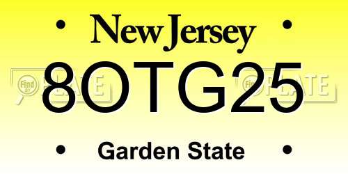 8OTG25 New Jersey License Plate