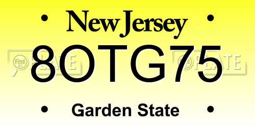 8OTG75 New Jersey License Plate