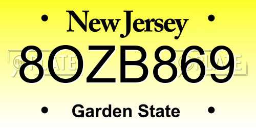 8OZB869 New Jersey License Plate
