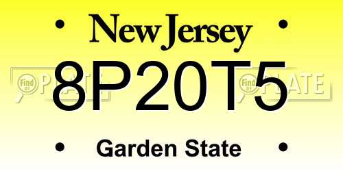 8P20T5 New Jersey License Plate