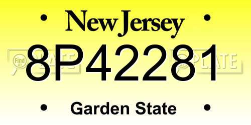 8P42281 New Jersey License Plate