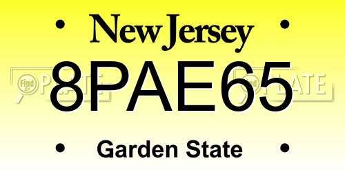 8PAE65 New Jersey License Plate