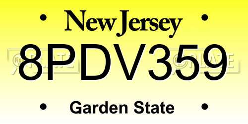 8PDV359 New Jersey License Plate
