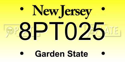 8PT025 New Jersey License Plate