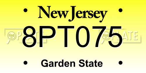 8PT075 New Jersey License Plate