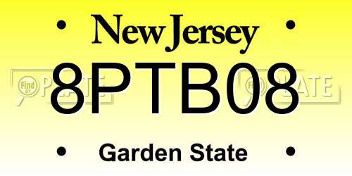 8PTB08 New Jersey License Plate