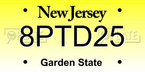 8PTD25 New Jersey License Plate