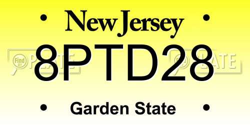 8PTD28 New Jersey License Plate