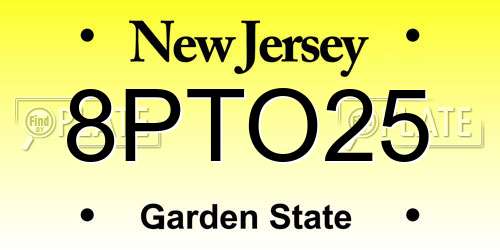 8PTO25 New Jersey License Plate