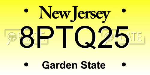 8PTQ25 New Jersey License Plate