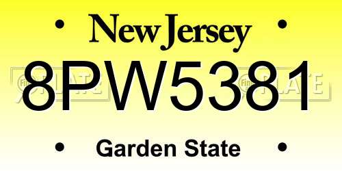 8PW5381 New Jersey License Plate