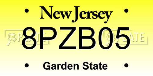 8PZB05 New Jersey License Plate