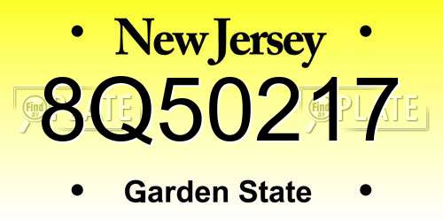 8Q50217 New Jersey License Plate