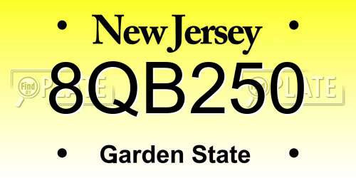8QB250 New Jersey License Plate