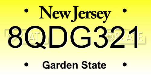 8QDG321 New Jersey License Plate