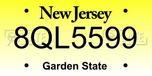 8QL5599 New Jersey License Plate