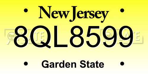 8QL8599 New Jersey License Plate