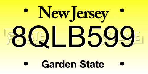 8QLB599 New Jersey License Plate