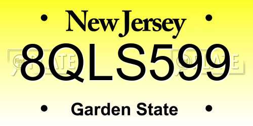 8QLS599 New Jersey License Plate
