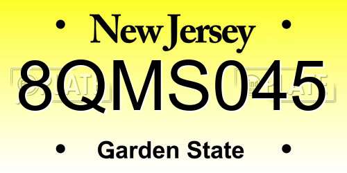 8QMS045 New Jersey License Plate