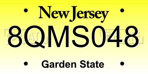 8QMS048 New Jersey License Plate