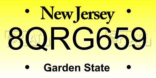 8QRG659 New Jersey License Plate