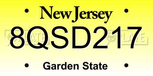 8QSD217 New Jersey License Plate