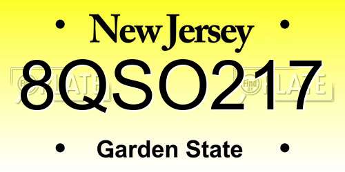 8QSO217 New Jersey License Plate