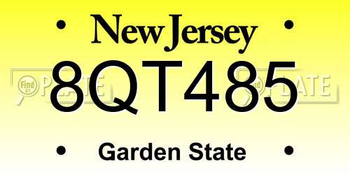 8QT485 New Jersey License Plate