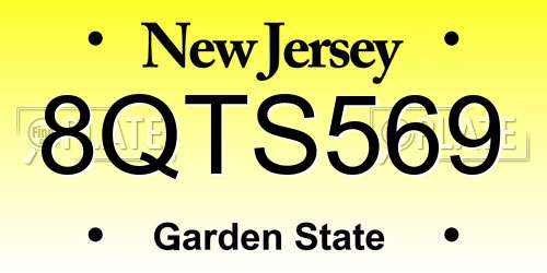 8QTS569 New Jersey License Plate