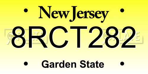 8RCT282 New Jersey License Plate