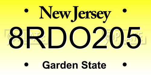 8RDO205 New Jersey License Plate