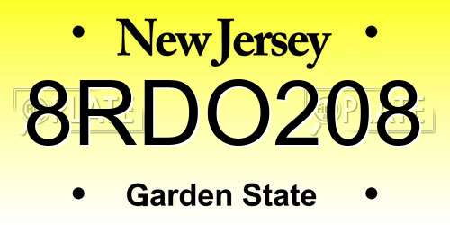 8RDO208 New Jersey License Plate