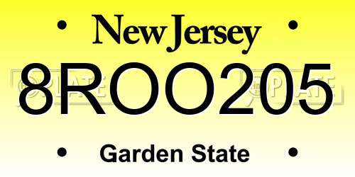 8ROO205 New Jersey License Plate
