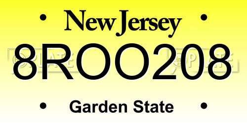 8ROO208 New Jersey License Plate
