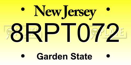 8RPT072 New Jersey License Plate