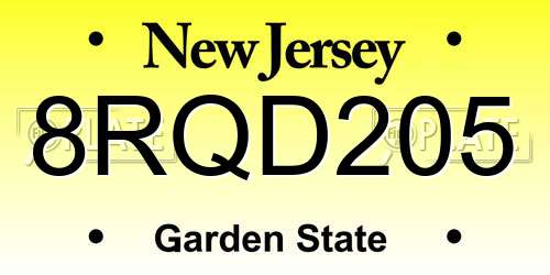 8RQD205 New Jersey License Plate