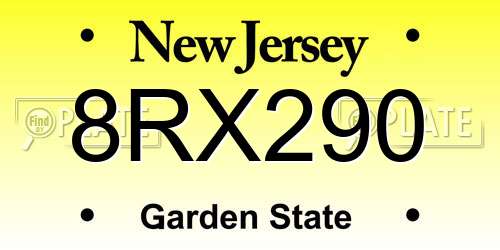8RX290 New Jersey License Plate