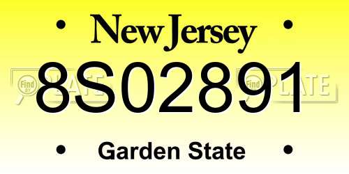 8S02891 New Jersey License Plate
