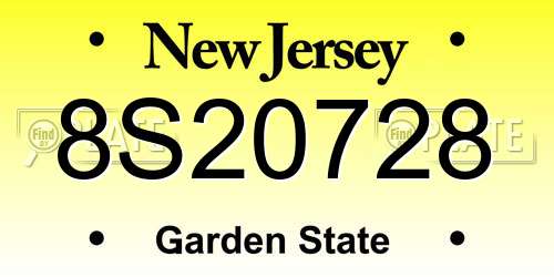 8S20728 New Jersey License Plate