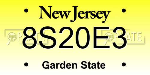 8S20E3 New Jersey License Plate