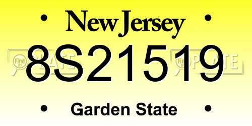 8S21519 New Jersey License Plate