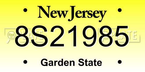 8S21985 New Jersey License Plate