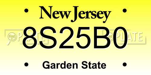 8S25B0 New Jersey License Plate
