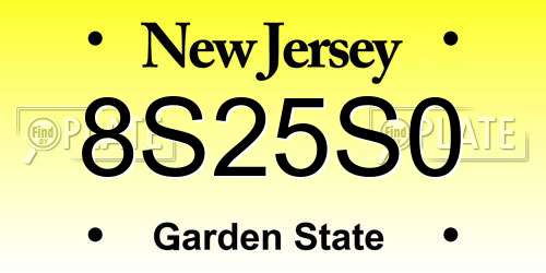 8S25S0 New Jersey License Plate